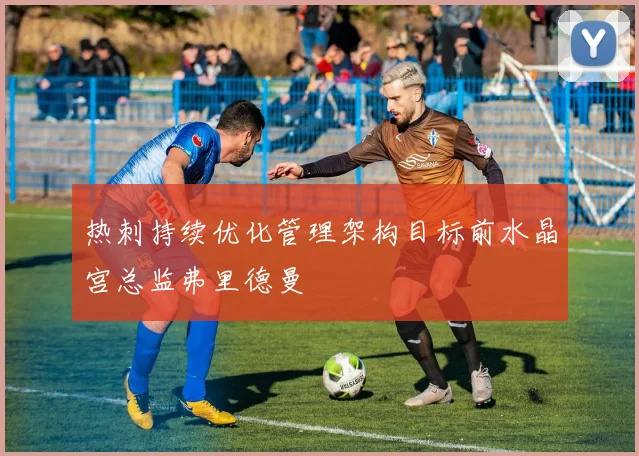 热刺持续优化管理架构目标前水晶宫总监弗里德曼